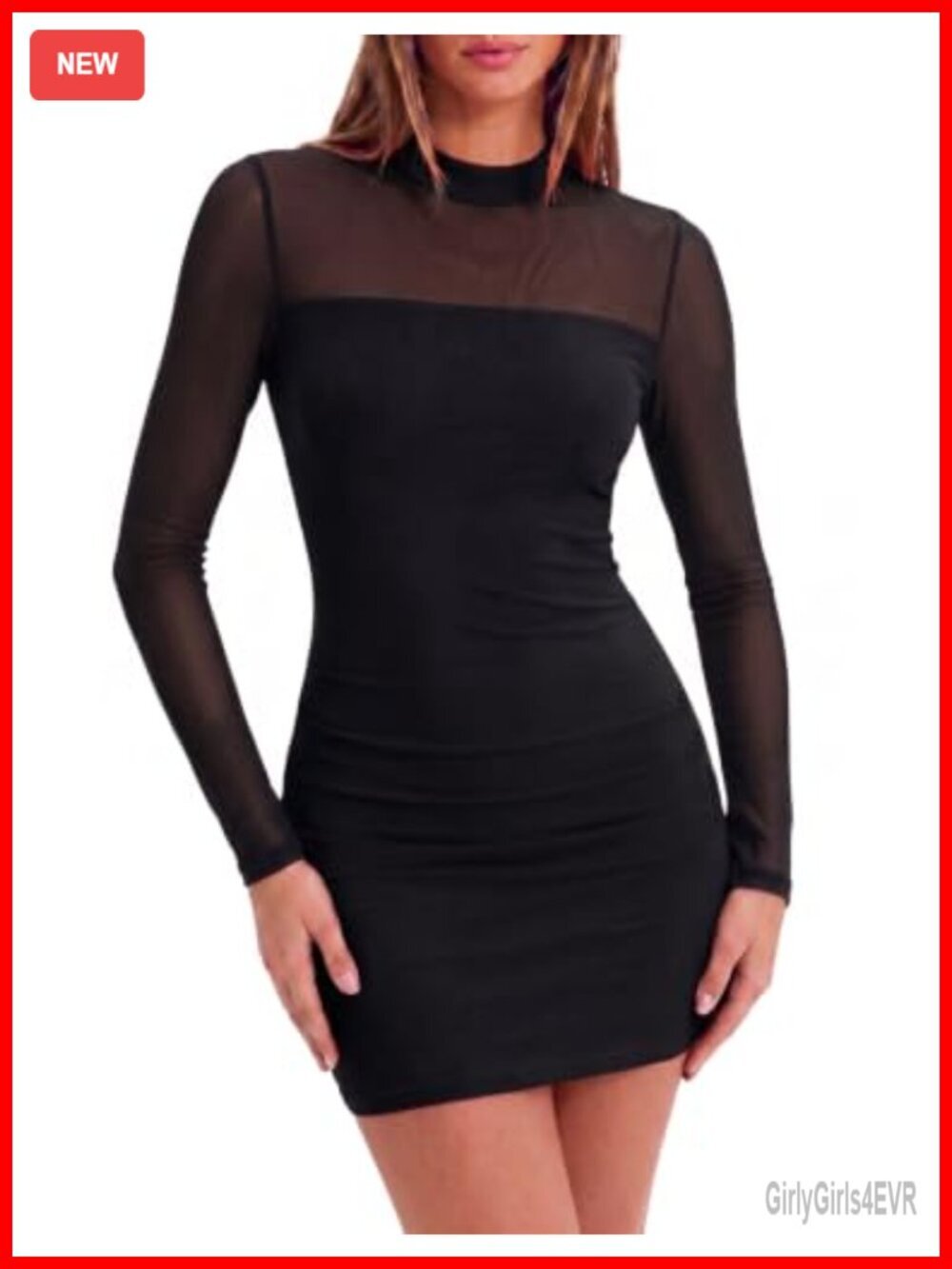 Mesh Sheer Long Sleeve Bodycon Mock Neck Mini Dress